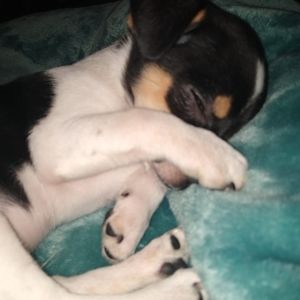 Meet your Posher, Shane